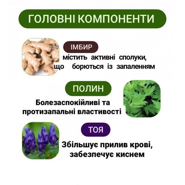 Патч-пластир від болю в суглобах і м&rsquo;язах спини, шиї та колін з екстрактом полину 10 штук у наборі EELHOE (SVS) 7696 фото